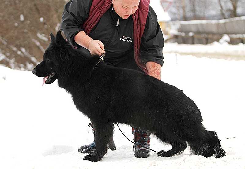 Zilber Vasserfall Avatar