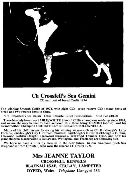 CH (ENG) Crossfell's Sea Gemini