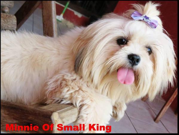 Minnie of small king