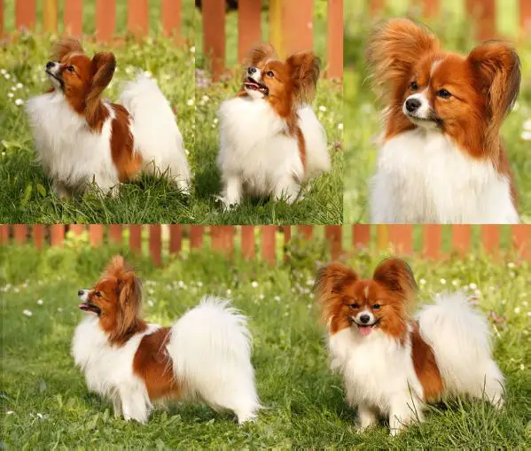 NOVEMBER PAINTING von den Kolibris