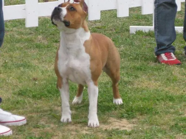 Hot family daughtr of my Angel