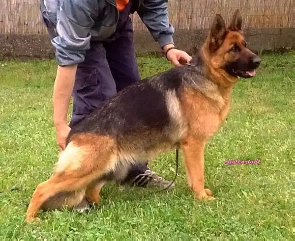 Merry vom Team Panoniansee