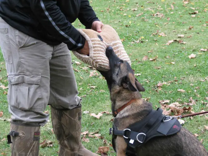 INT CH ADDK9 Something Wicked