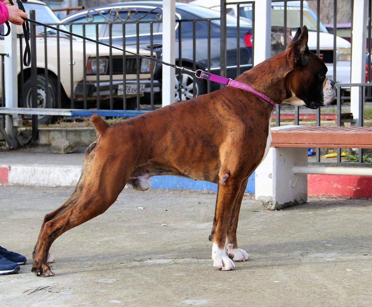 Ural di Casa Vernice