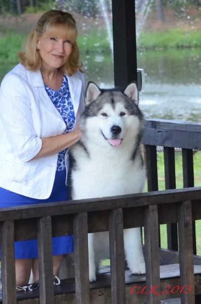 GCHS CH Wild Wind's I Roc