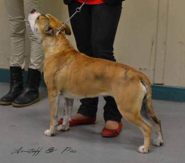 white back joy ckikidee