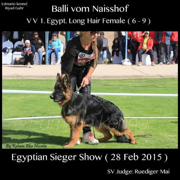 VV1 EGYPT (2015) Balli vom Naisshof