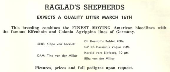 DUE MARCH 16TH 1968 Historical Raglad's Shepherds Litter Announcement