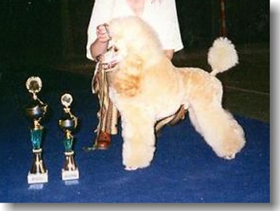 INT CH Broyan aus dem Schneckenhaus