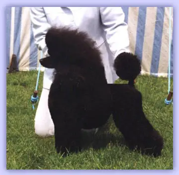 Minarets Lord Of The Dance