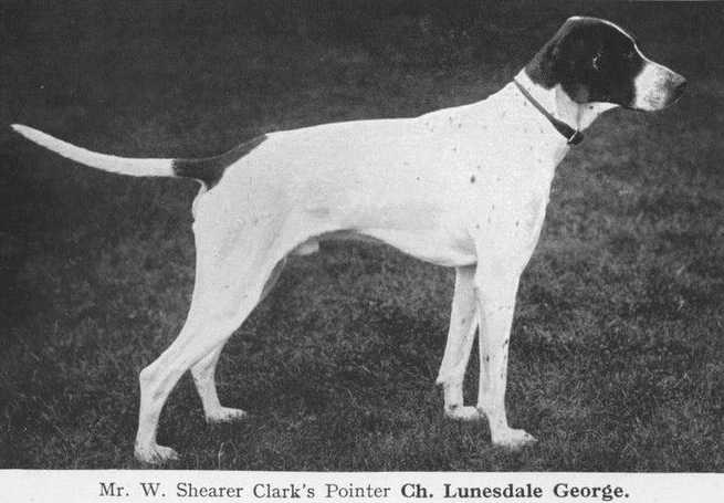 CH Lunesdale George (1904)