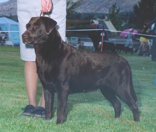 CAN CH Fawnhaven First Lite of Dawn