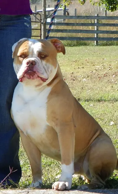 Dunn's dressed for success@spencer farms