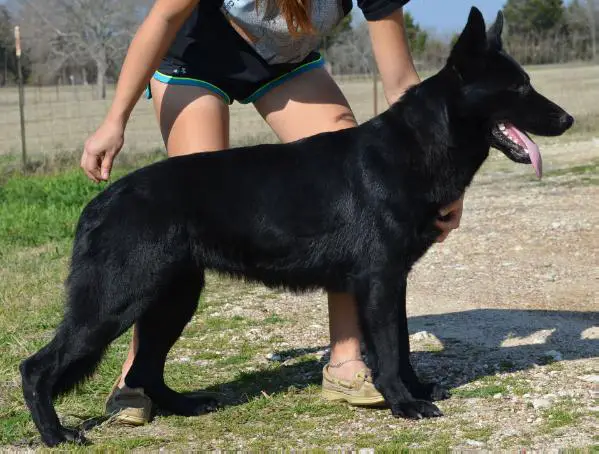 Fanta z Hrdinneho Odvahy