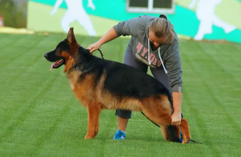 Esfero Del Casa Favore