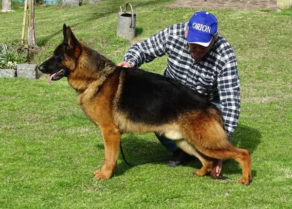 Dallas de la Fama