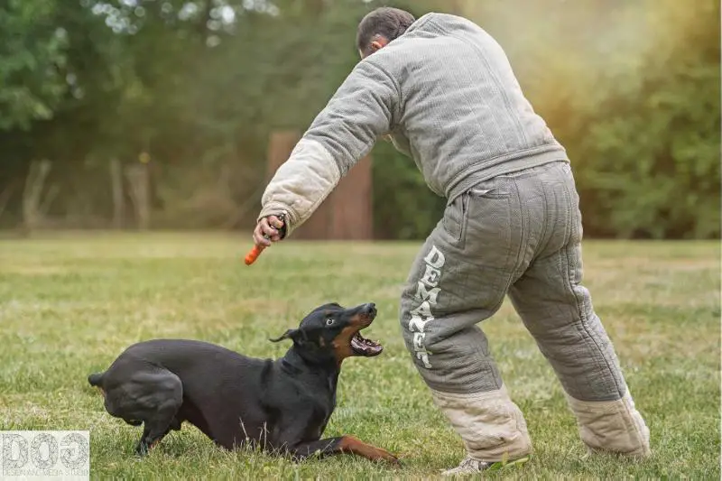 Masaya's Full Metal Jacket (Havok)