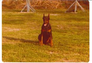 Graf Vom Kloster-Kamp