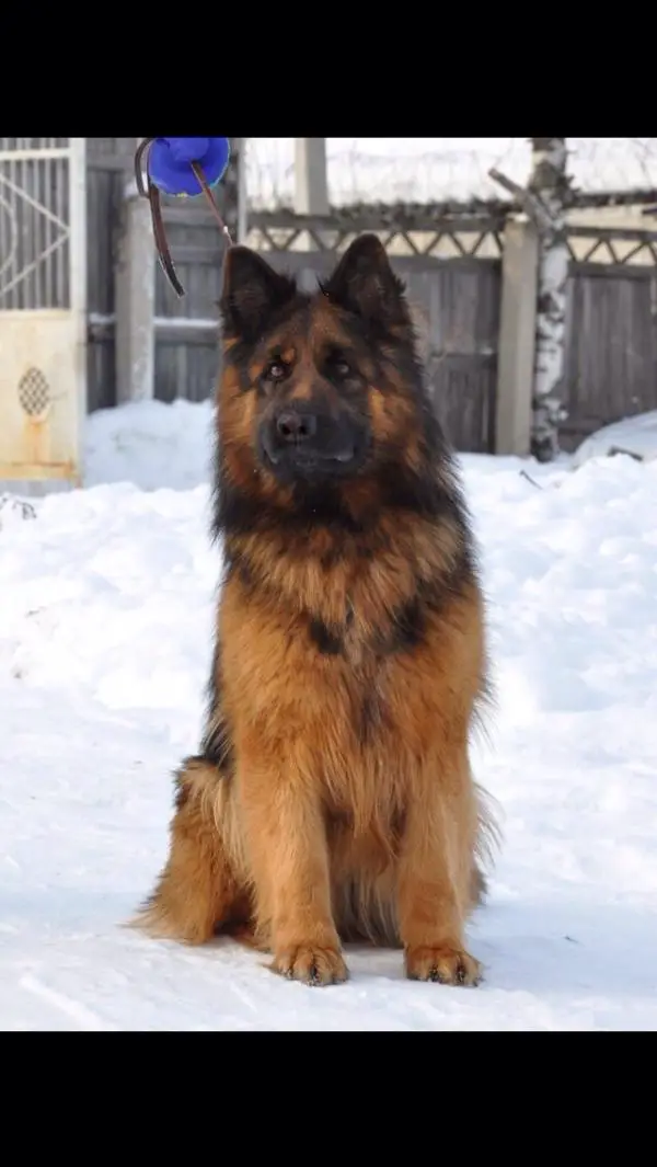 Zilber wasserfall chacko