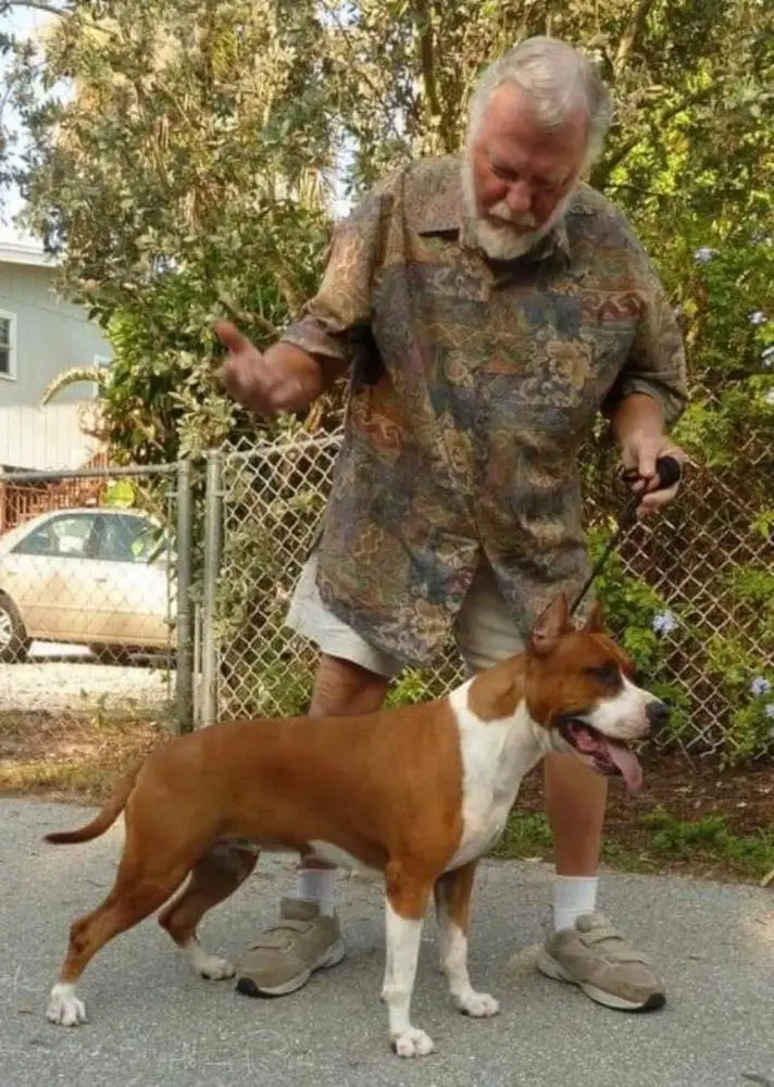 Willynwood Gold Standard II