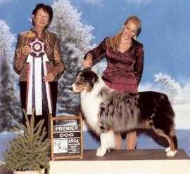 AKC/ASCA CH Dancin' Eyes The Whole Shabang