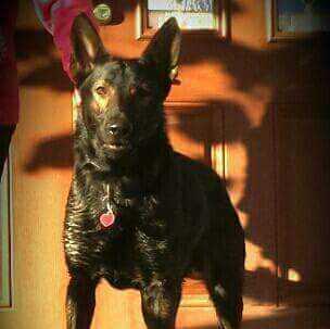 Soldier Vom Friedenswachter