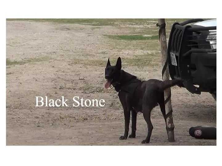 Black Stone (Cupido)