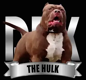 how much do hulk puppies cost