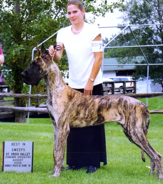 CH. Rojon's Dynast O'Northwind