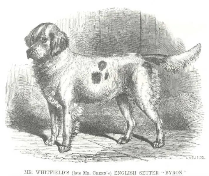 Byron [Mr. Whitfield's / Mr. Green's] (c.1867)