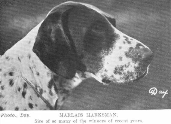 Marlais Marksman