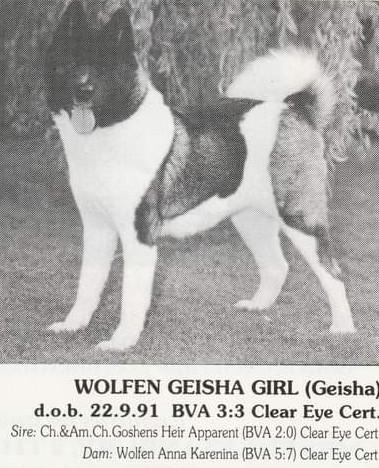 Wolfen Geisha Girl