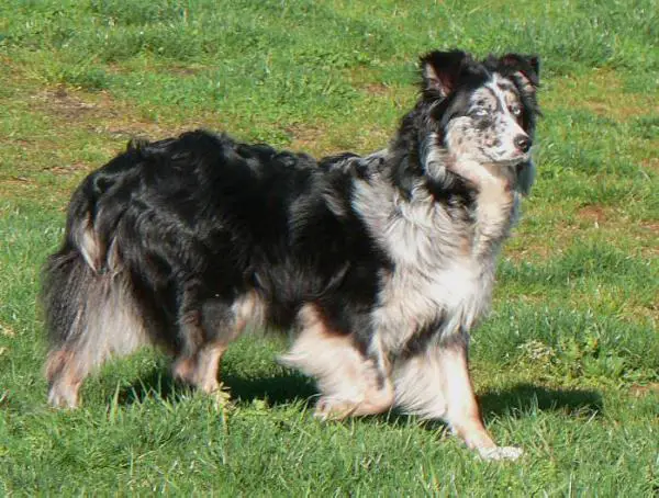 Celebrityward's Amazen Grace