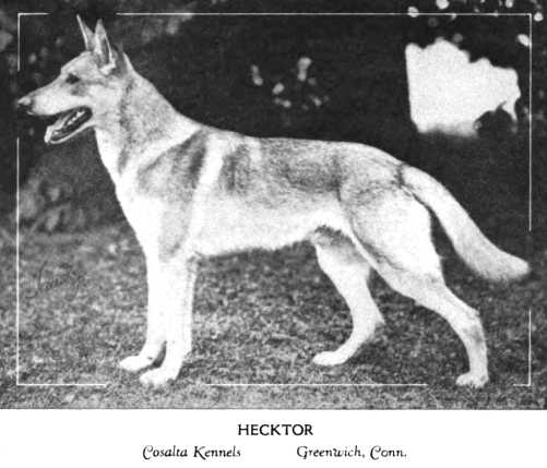 Hecktor (1920)