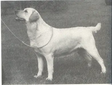 SH CH UK Covet elouise of carpenny