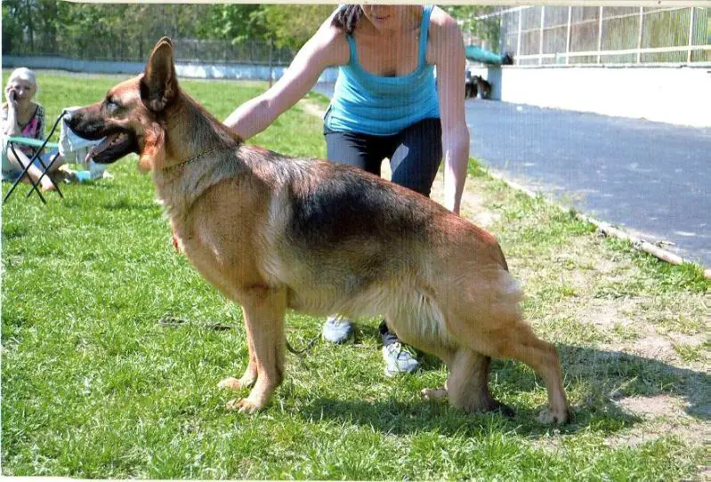 V, CH UA Hennessy M`Vansven