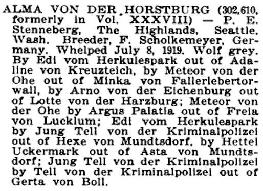 Alma von der Horstburg (1919) 74827