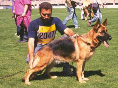 Fendi di Casa Appula