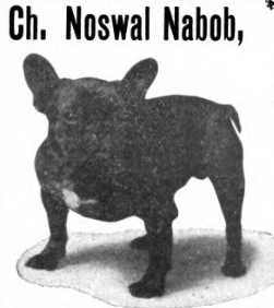CH Noswal Nabod 148266 vXXVIII