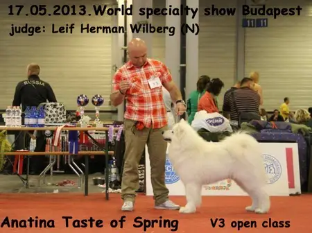 Anatina Taste of Spring
