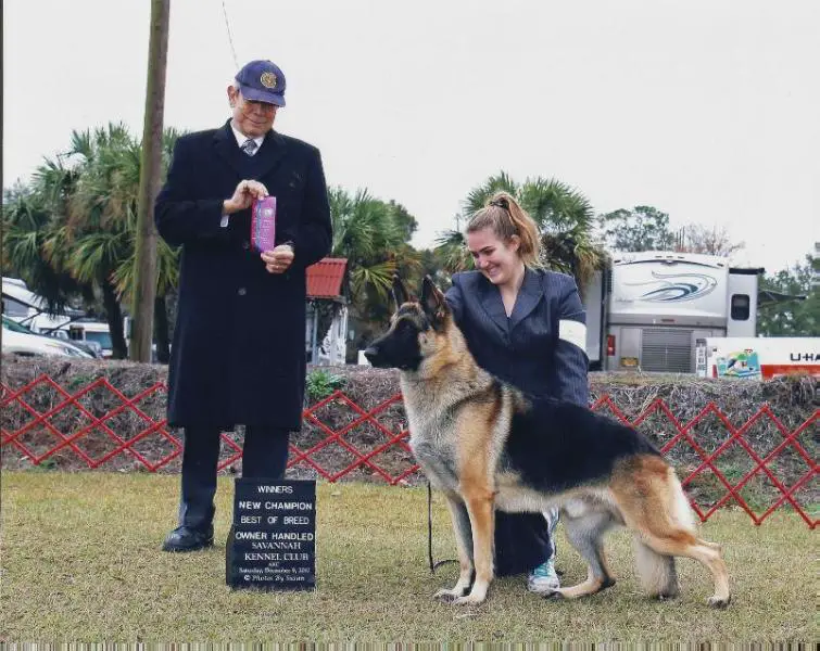 Champion J-Lyn's Crazy Train v Earsup