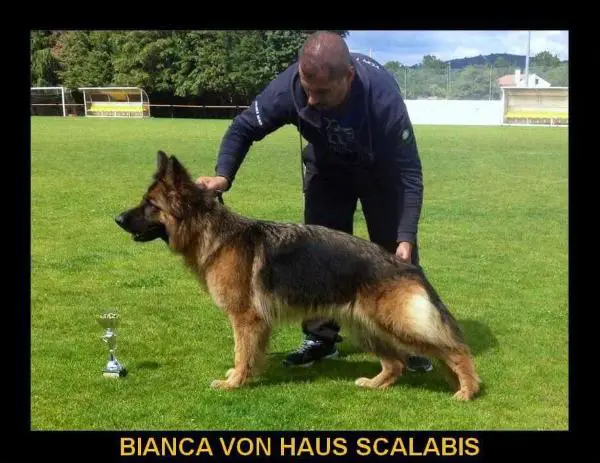 SG1 PT Bianca Von Haus Scalabis