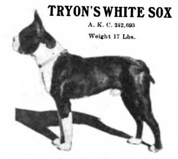Tryon's White Sox (242693 vXXXV)