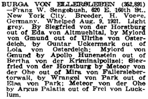 Burga von Ellersleben