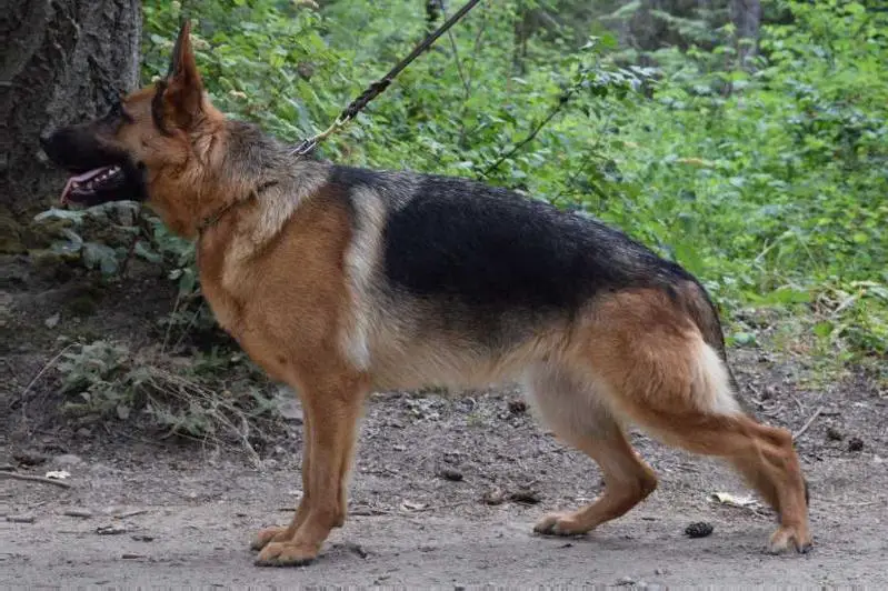 Ursula von Morgen Haus