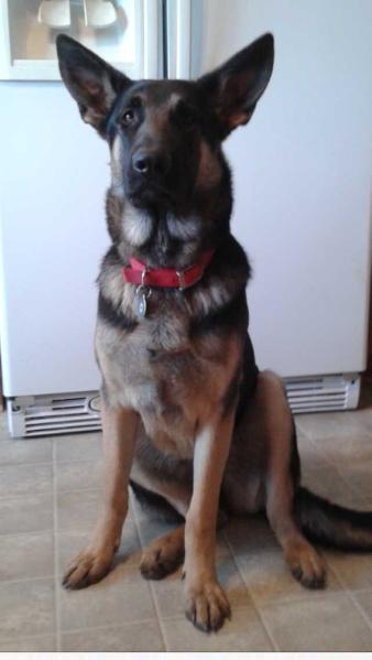 Fräulein Abigail Rose Strongheart