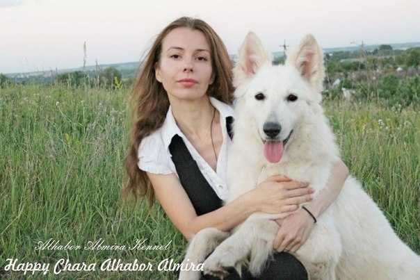 CH Rus, CH RKF, CH OANKOO, CH RFSS, CH RFLS, JCH Rus Happy Chara Alhabor Almira