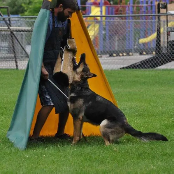 Anya von der Gnadehund