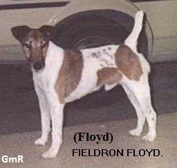 Fieldron Floyd