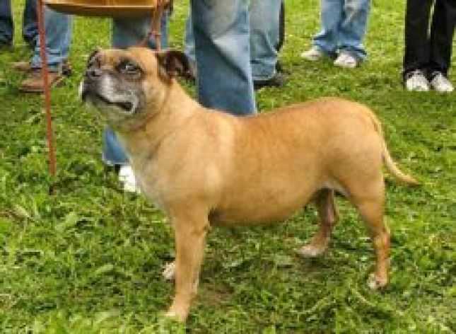 CH. RUS Imperiya Scorpiona Valuta